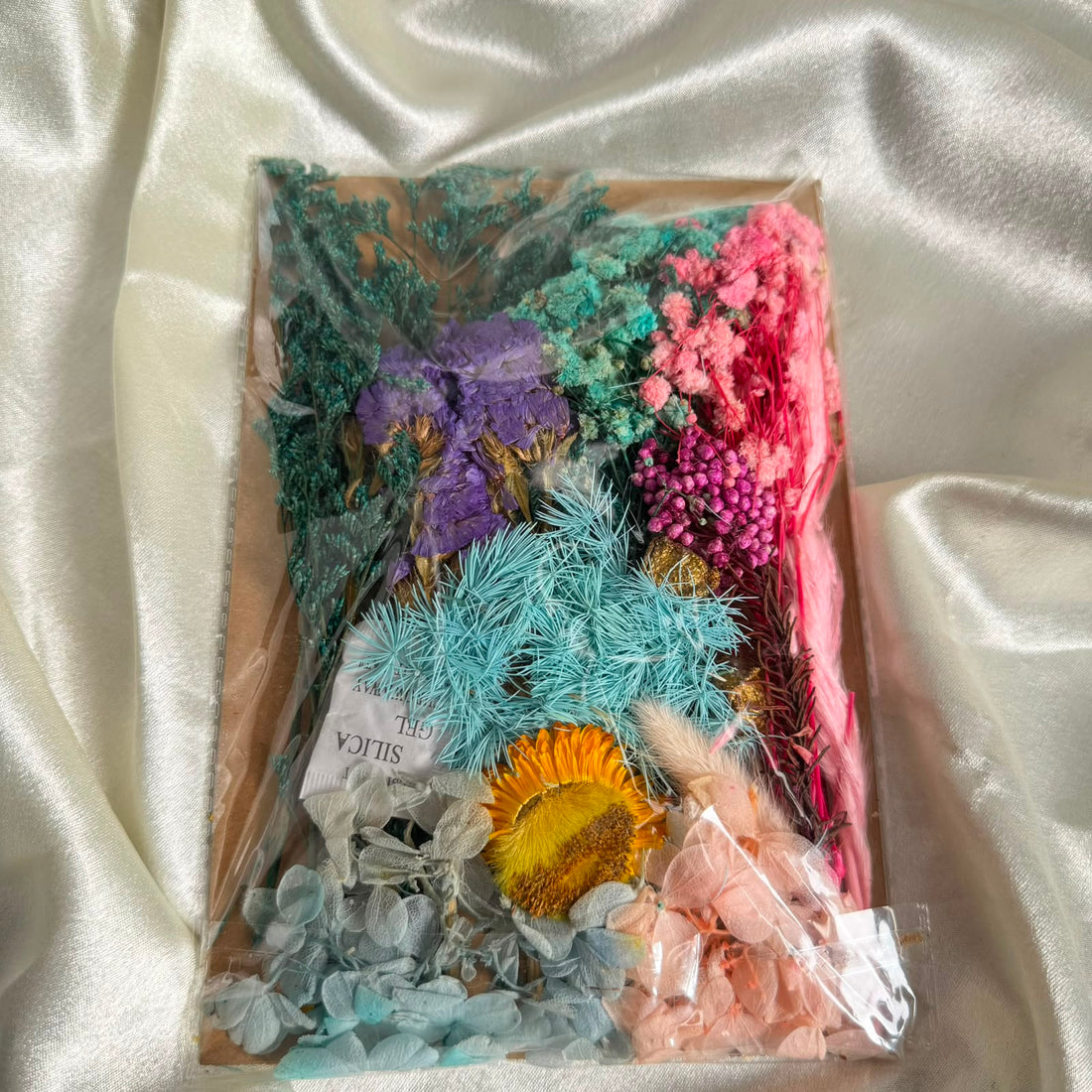 Dry flower pack pink - blue