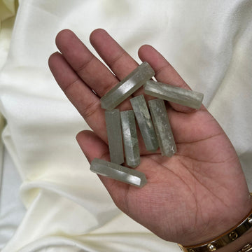 Greenish white pointers