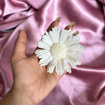 Sunflower dry flower