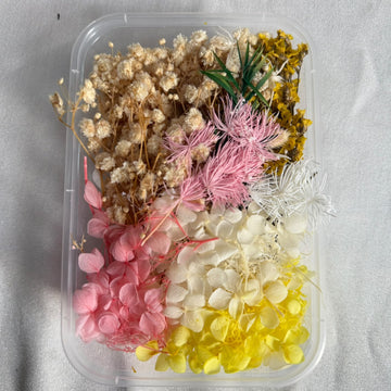 Dry flower box G