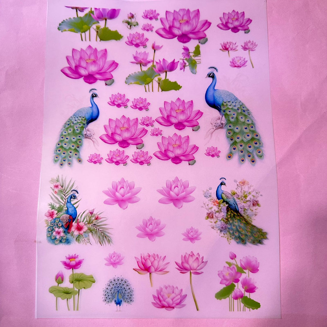 Lotus & peacock insert sheet A4
