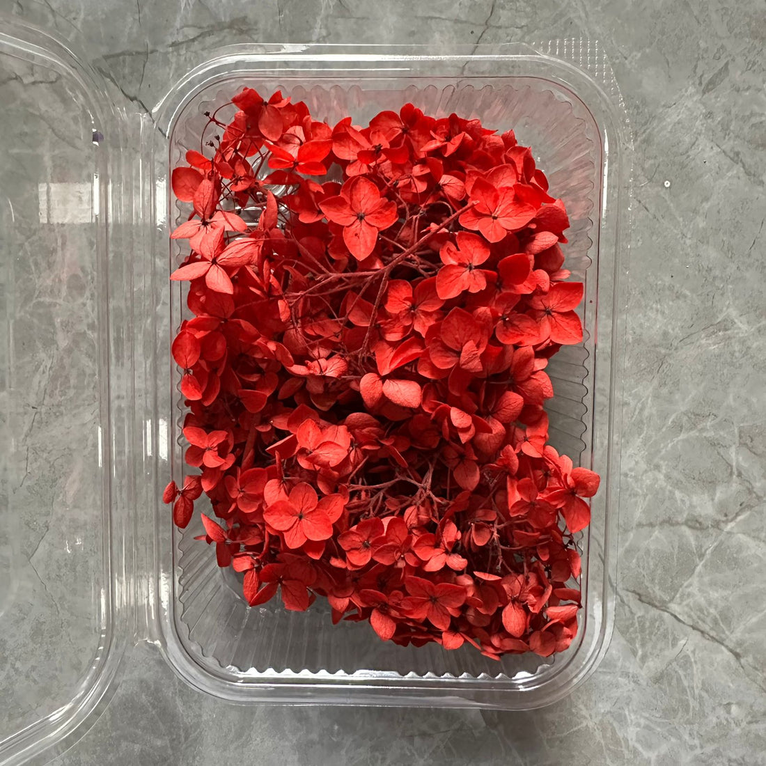 Red Hydrangea flower box