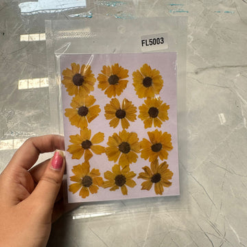 Yellow wild dry flower pack