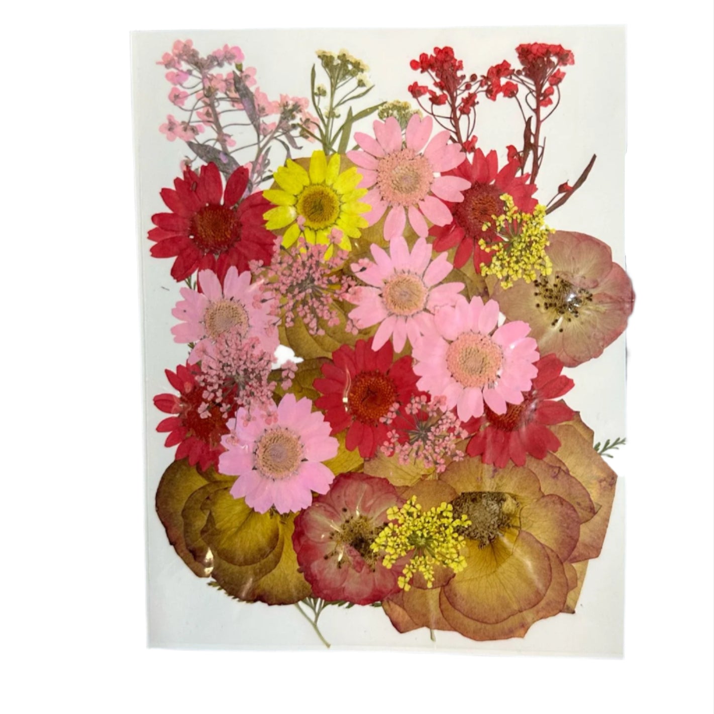 Dry flower pack A47