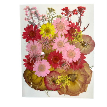 Dry flower pack A47