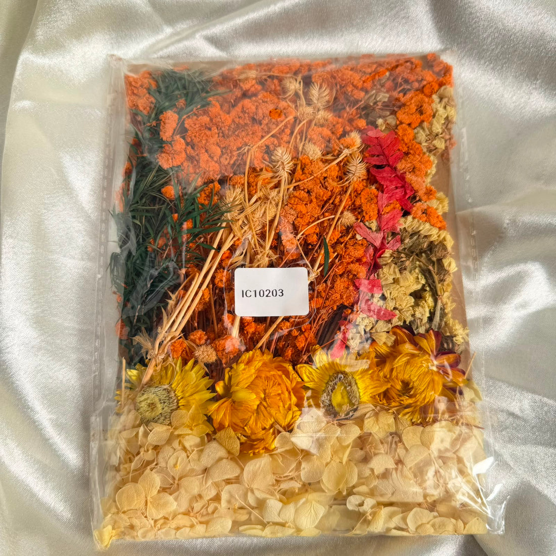 Dry flower pack Orange yellow