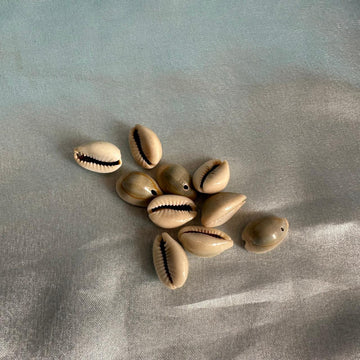 Cowary shells
