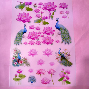 Lotus & peacock insert sheet A4