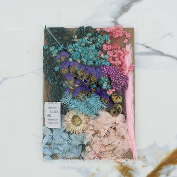 Dry flower pack blue-pink