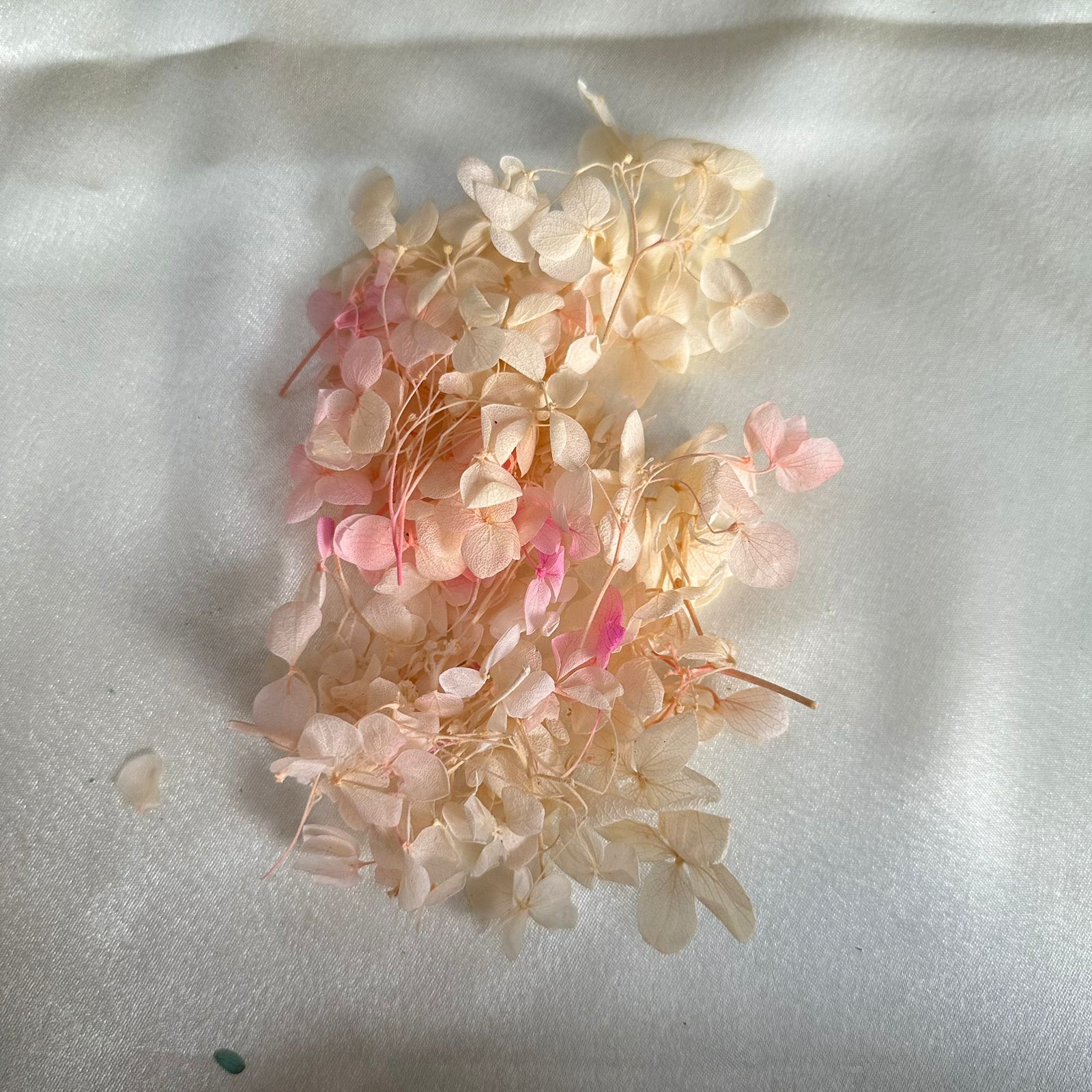 Cream pink hydrangea pack