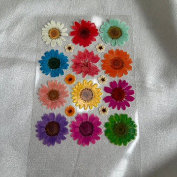 Multi daisy flower peel off sticker