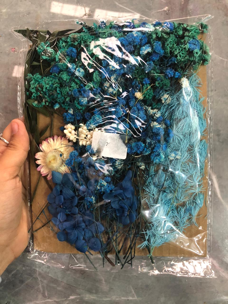 Dry flower pack blue