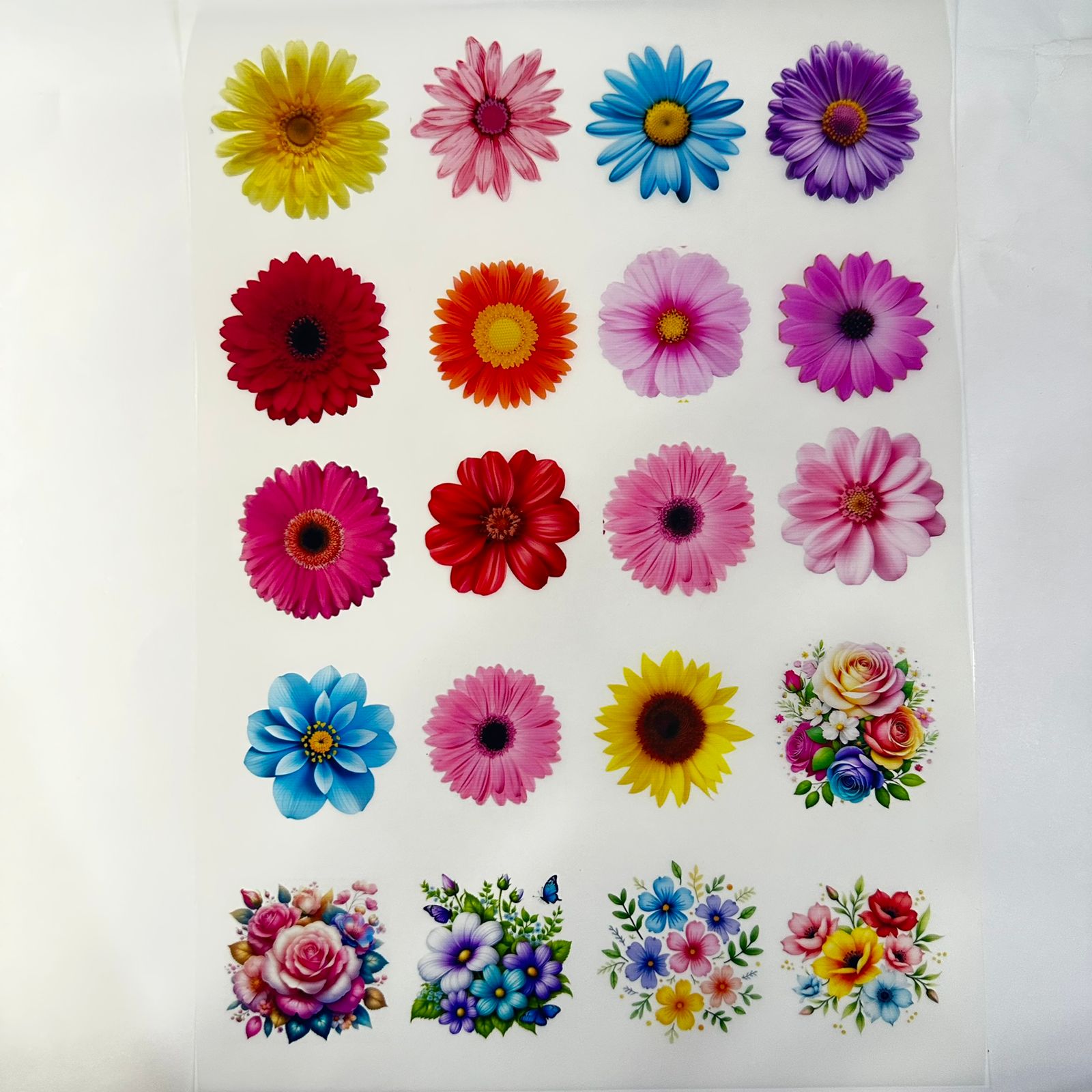 Flower Simple Insert Flower insert sheet 008