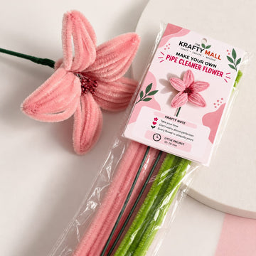 Pipe cleaner flower kit 04