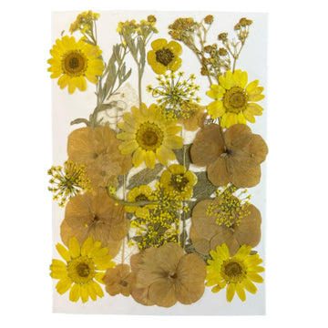 Dry flower pack A9