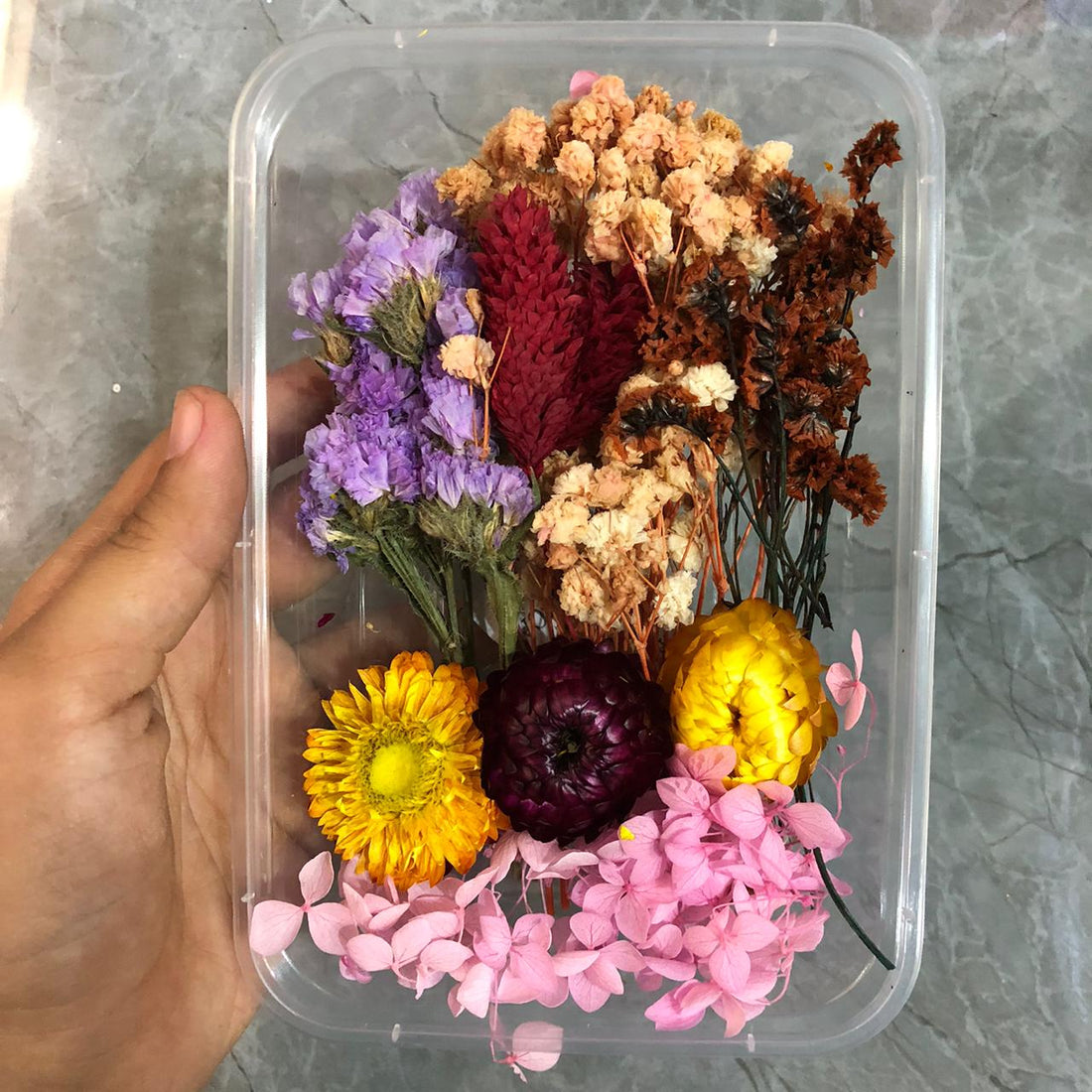 Dry flower box CC