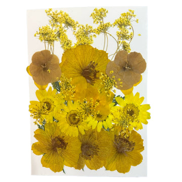 Dry flower pack A13