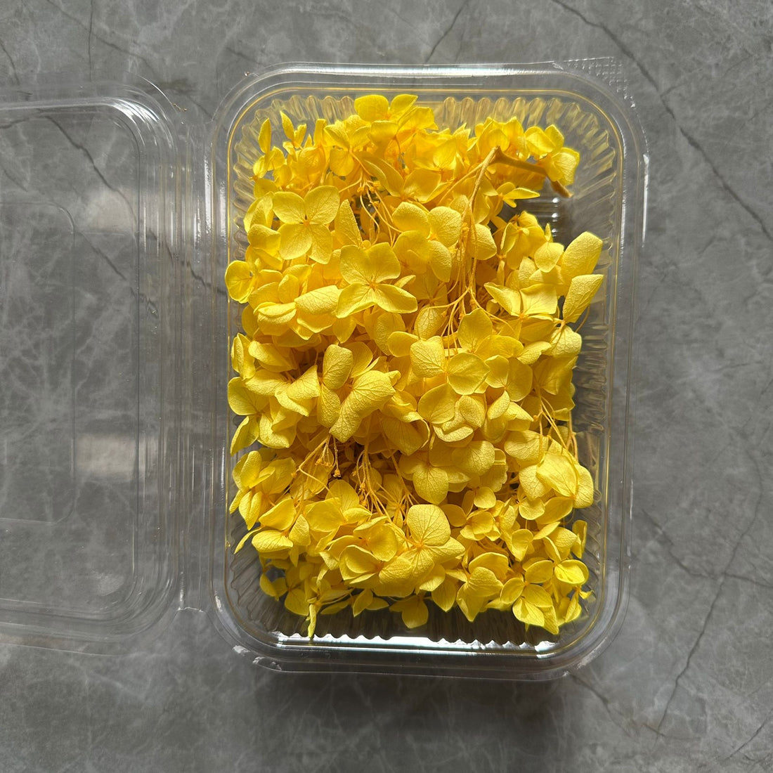 Yellow Hydrangea flower box