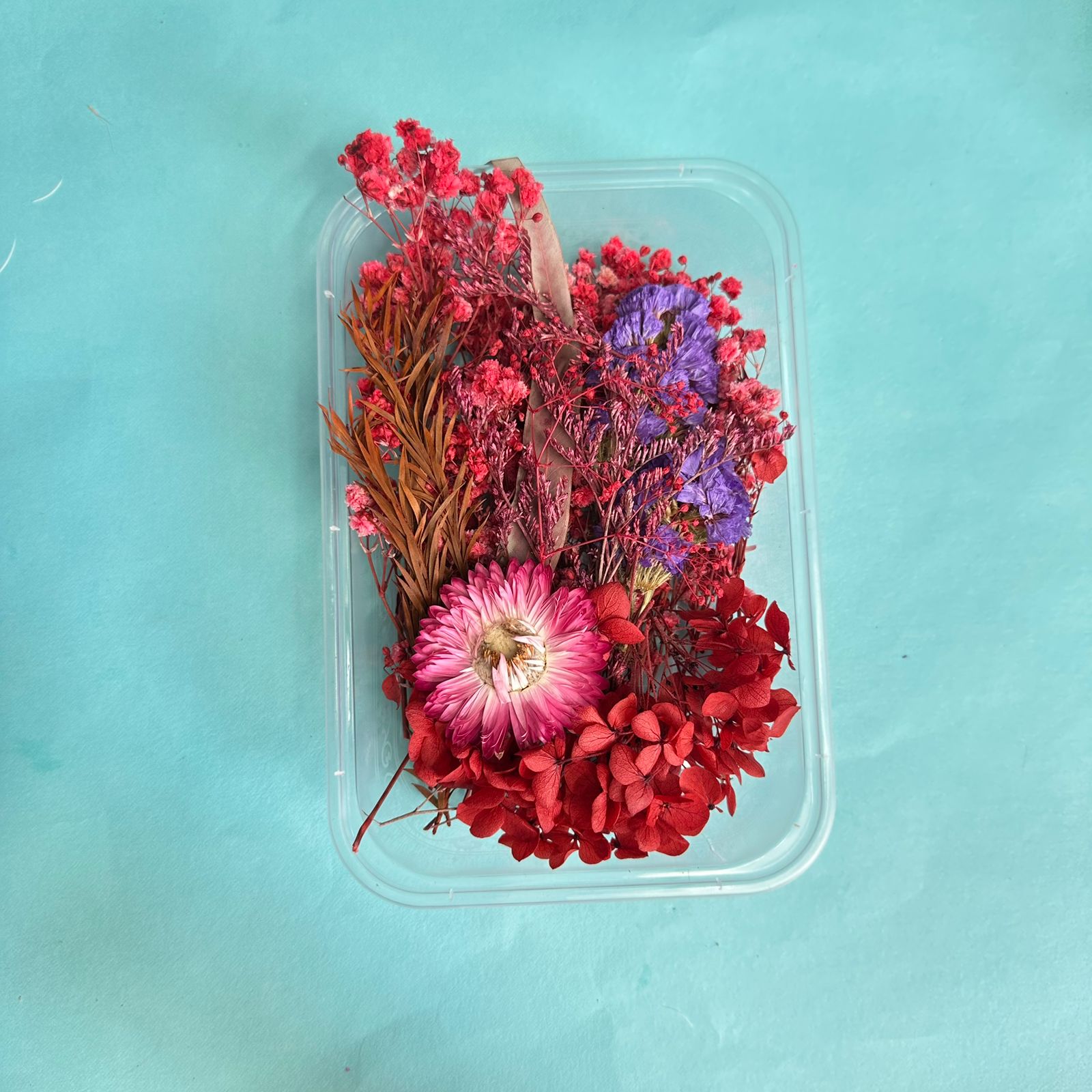 Dry flower box red