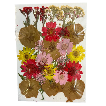 Dry flower pack A46
