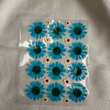 Light blue daisy flower peel off sticker