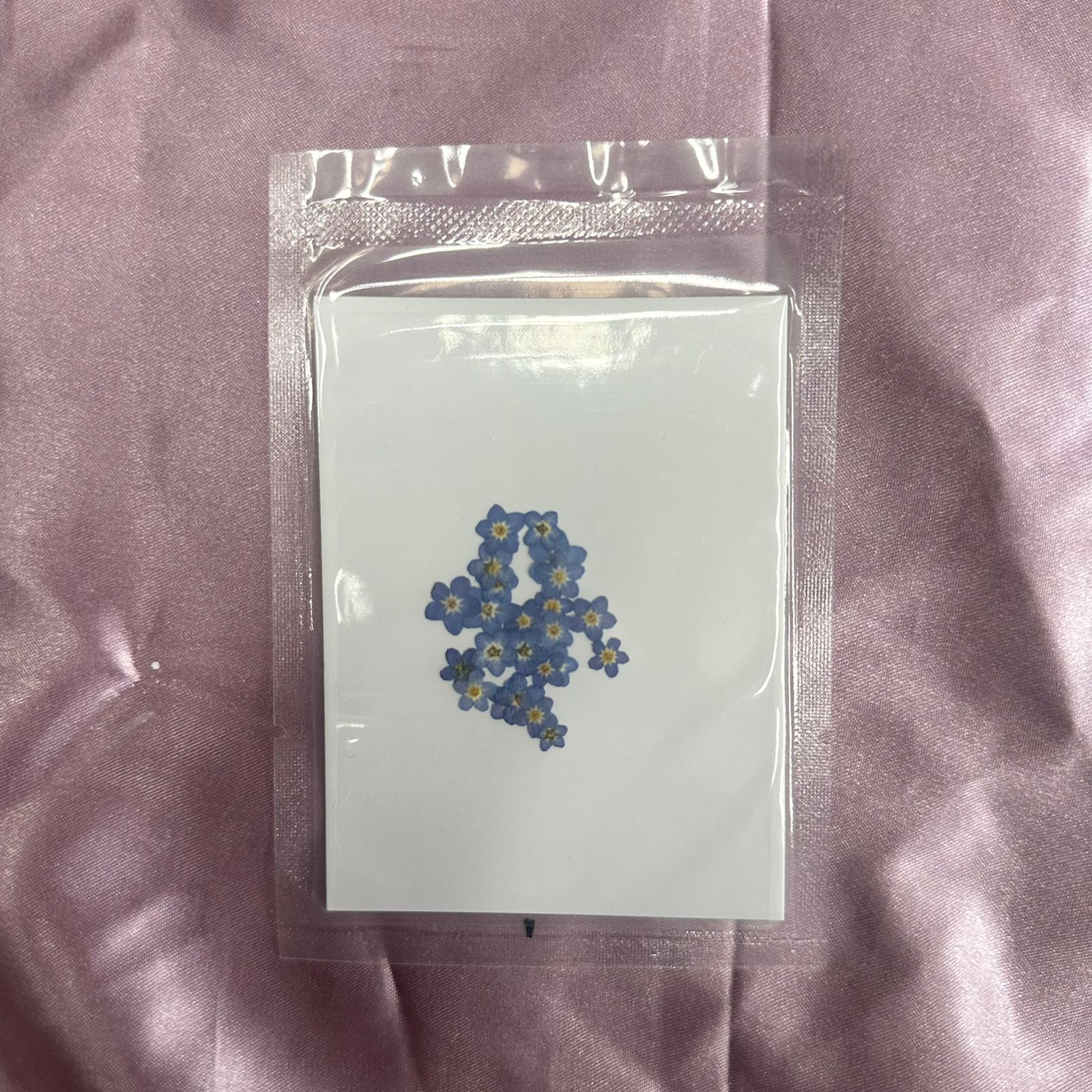 Forget me not flower