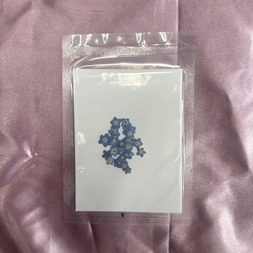 Forget me not flower