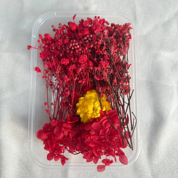 Dry flower box D