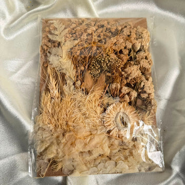 Dry flower pack white - beige