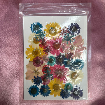 Dry flower pack K10