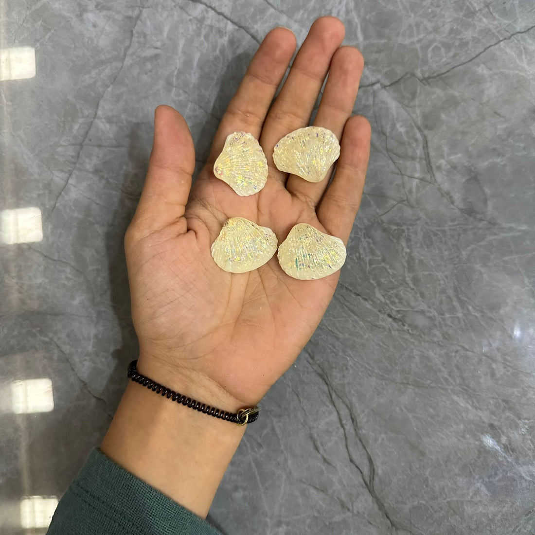 Miniature small shells cream