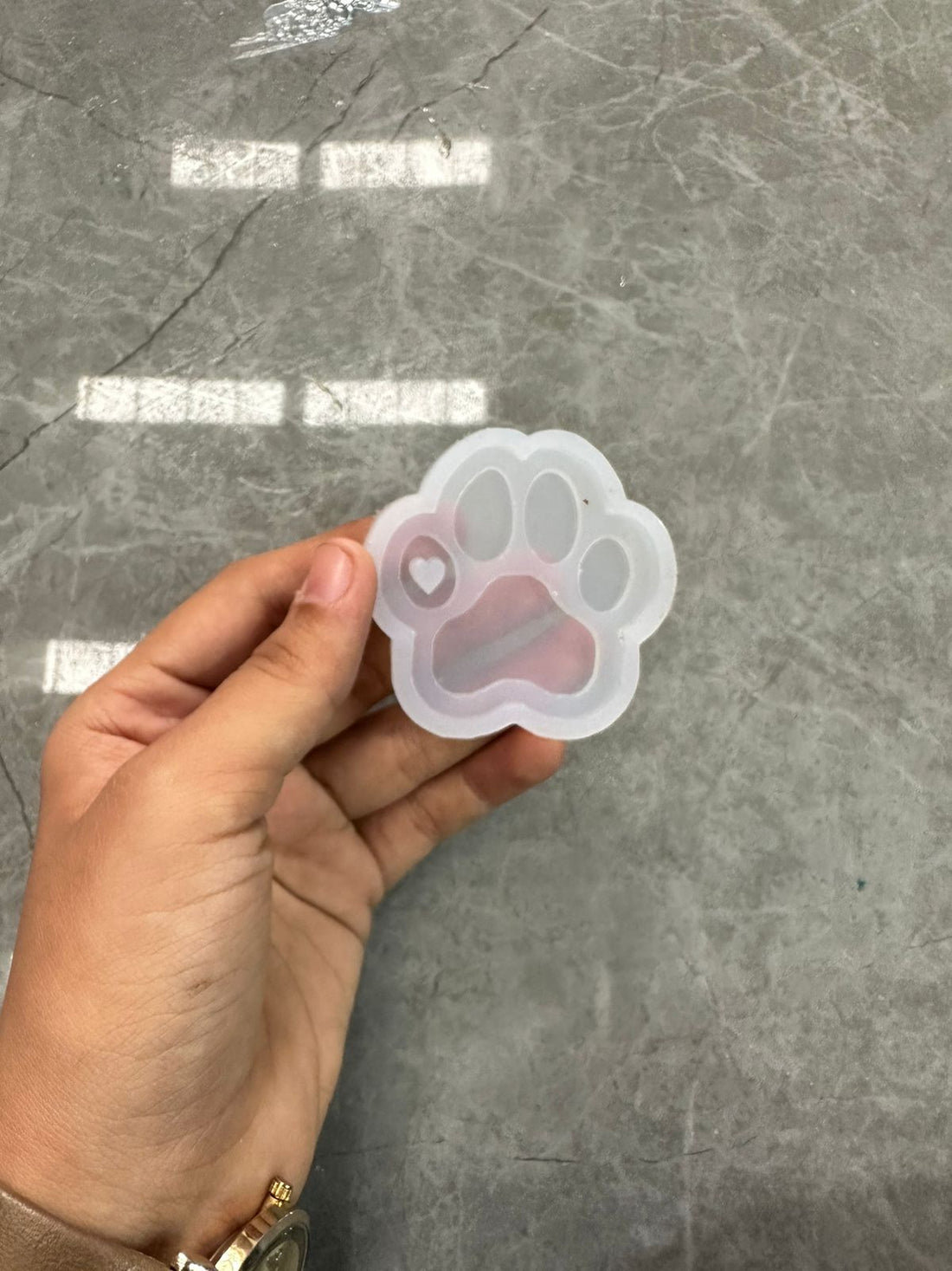 Dog paw mould