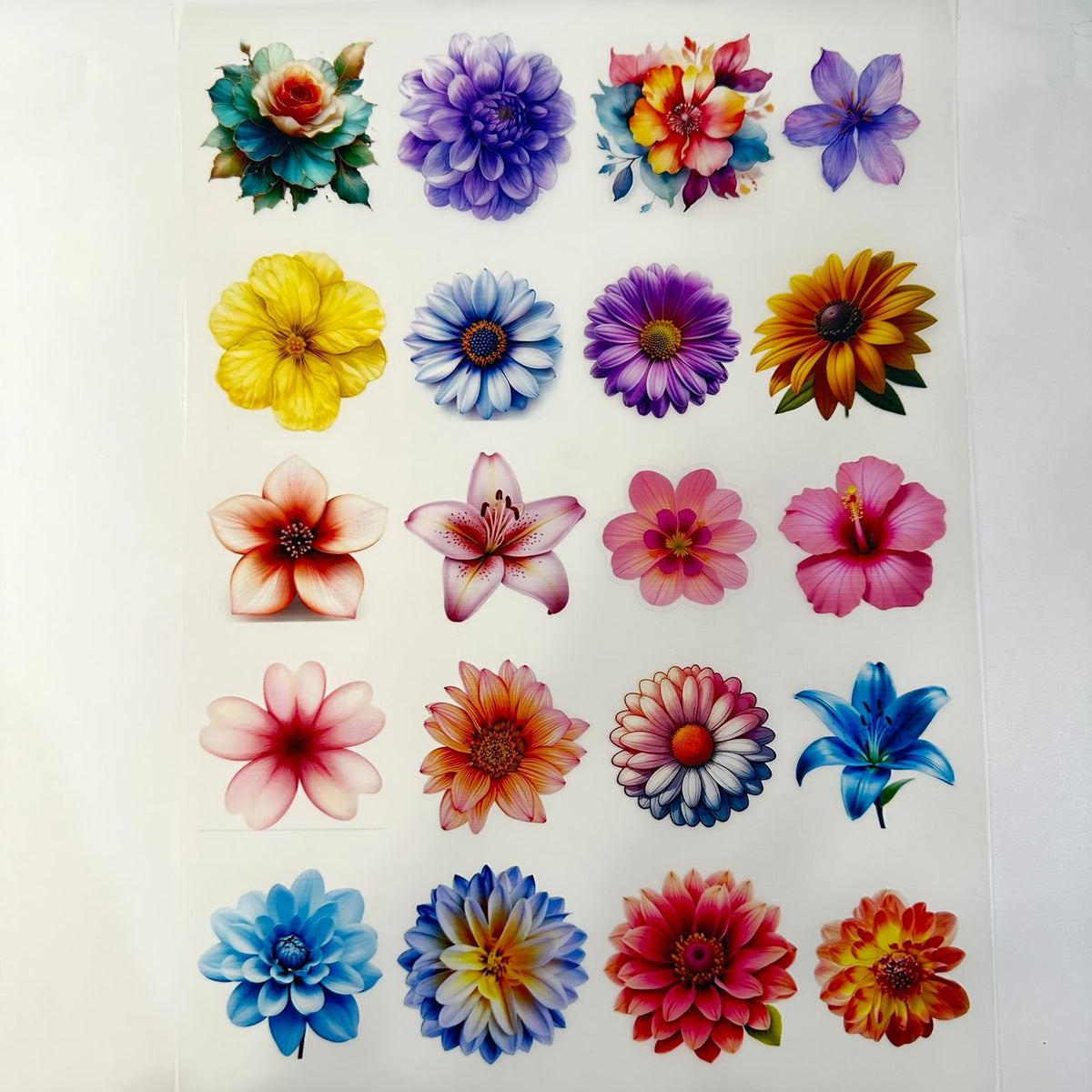 Flower Simple Insert Flower insert sheet 009