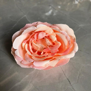 Peach rose flower