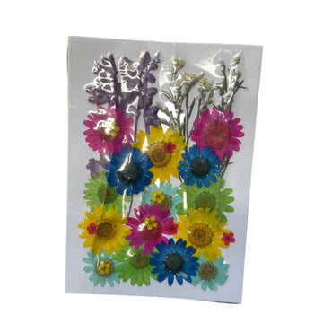 Dry flower pack P