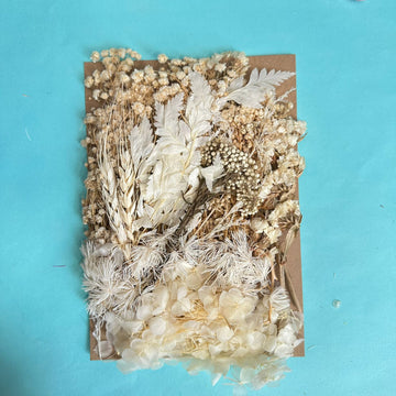 Dry flower pack white theme