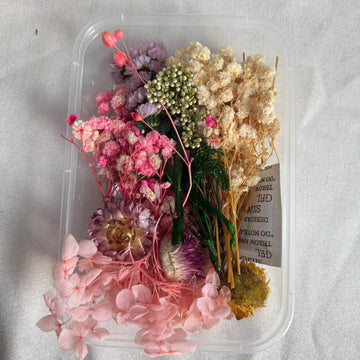 Dry flower box K
