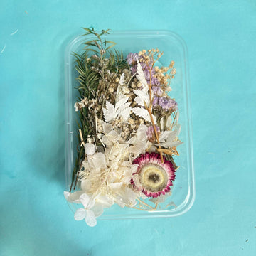 Dry flower box white