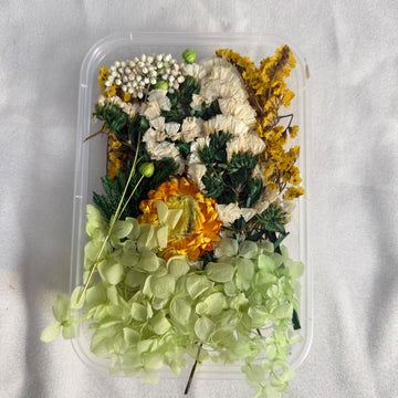 Dry flower box F