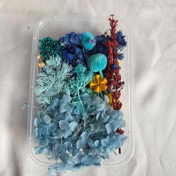 Dry flower box H