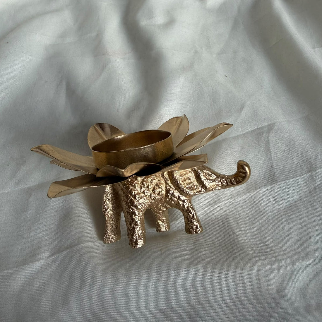 Lotus urli with elephant