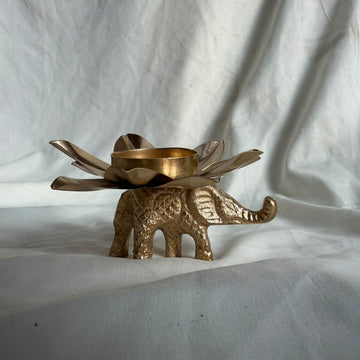 Lotus urli with elephant