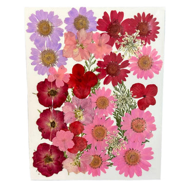 Dry flower pack A26