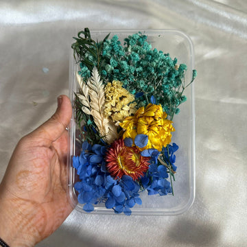 Dry flower box E