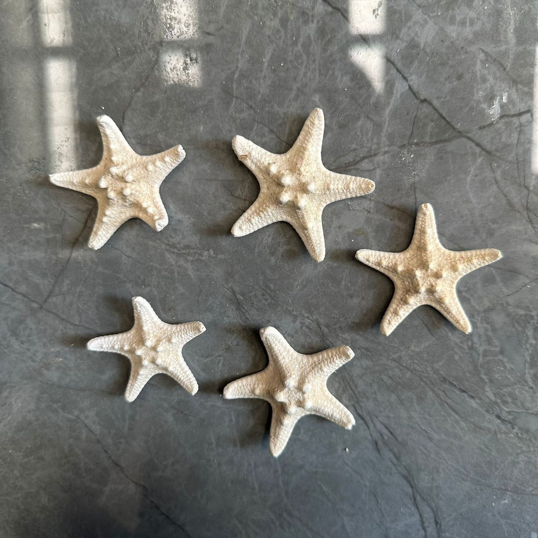 Star fish