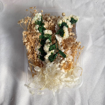 Dry flower box B