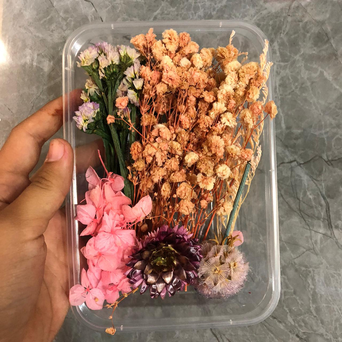 Dry flower box BB