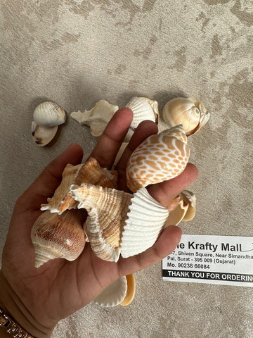 Mix Shells large