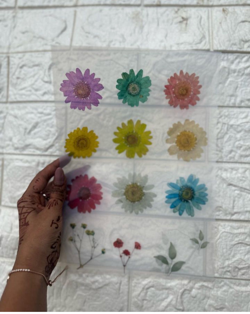 Mix daisy 001 flower insert sheet