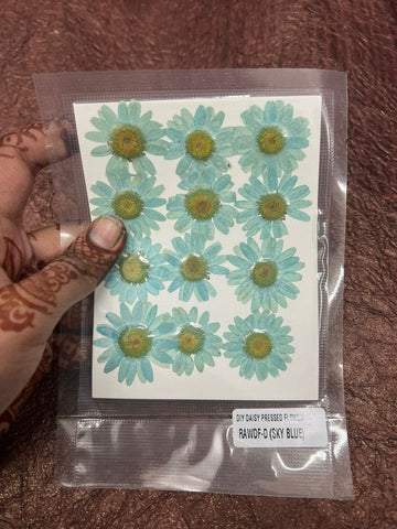 Pastel green Daisy Flower pack